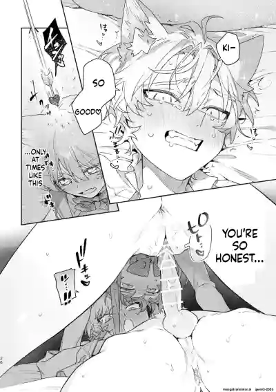 ♂ ga Uke. Neko-chan x Neko-kun 2 - Page 27
