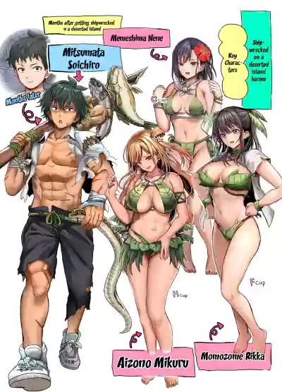 Mujintou Sounan Harem | Deserted Island Castaway Harem - Page 2