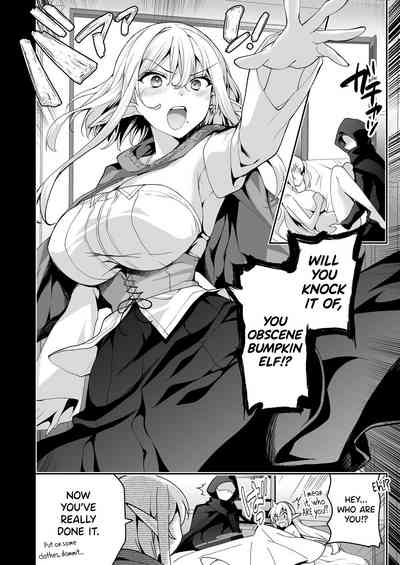 Elf ni Inmon o Tsukeru Hon LEVEL:6 - Page 31